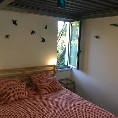Casa-loft Suspendida Entre Arboles